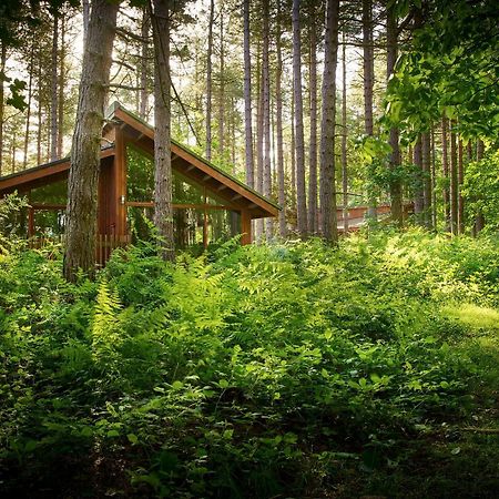 Popham Blackwood Forest Cabins - Forest Holidays מראה חיצוני תמונה