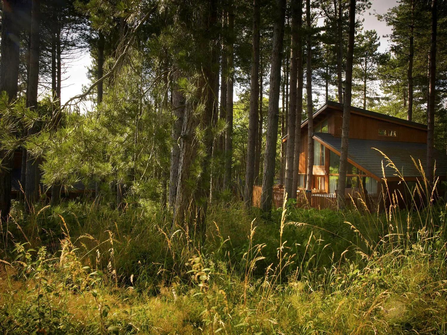 Popham Blackwood Forest Cabins - Forest Holidays מראה חיצוני תמונה