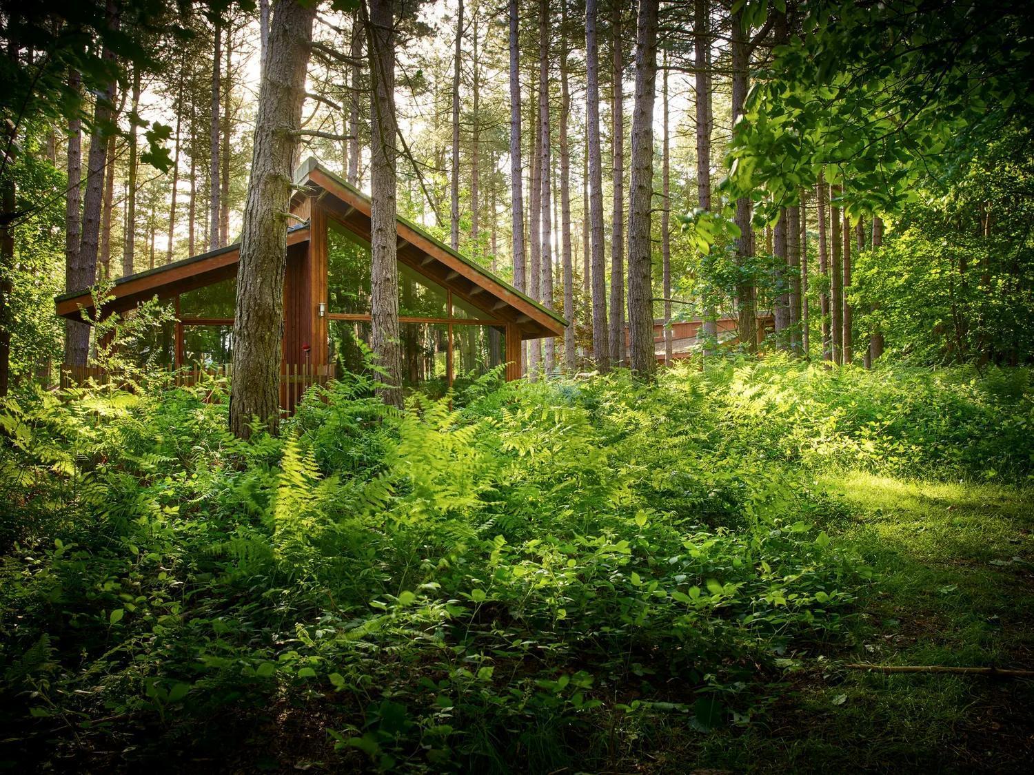 Popham Blackwood Forest Cabins - Forest Holidays מראה חיצוני תמונה