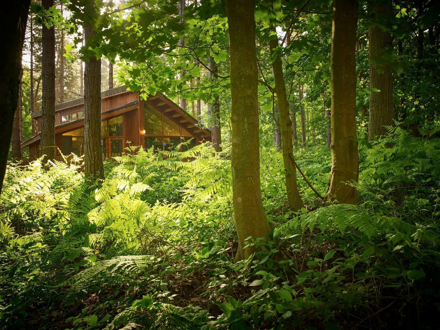 Popham Blackwood Forest Cabins - Forest Holidays מראה חיצוני תמונה
