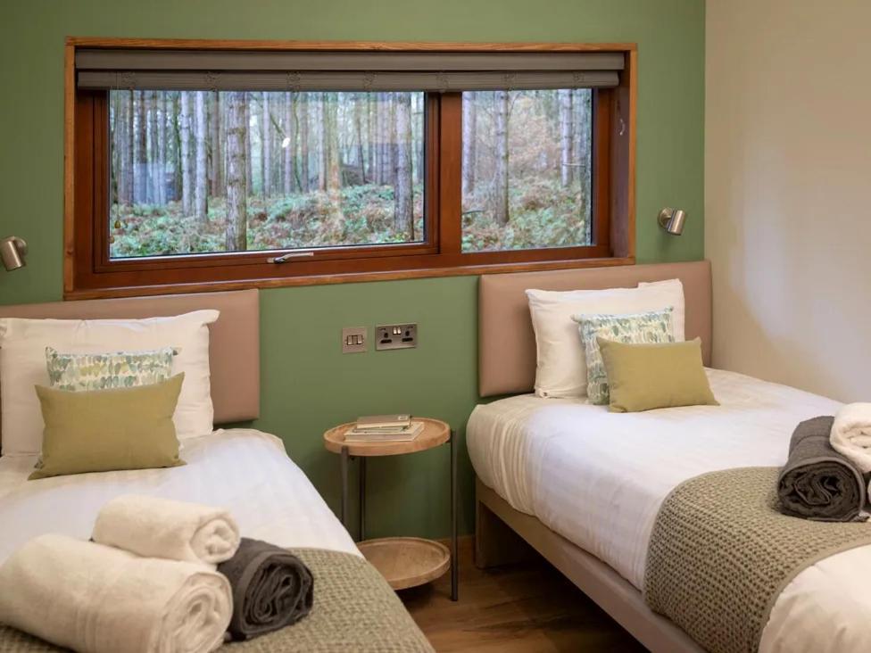 Popham Blackwood Forest Cabins - Forest Holidays מראה חיצוני תמונה