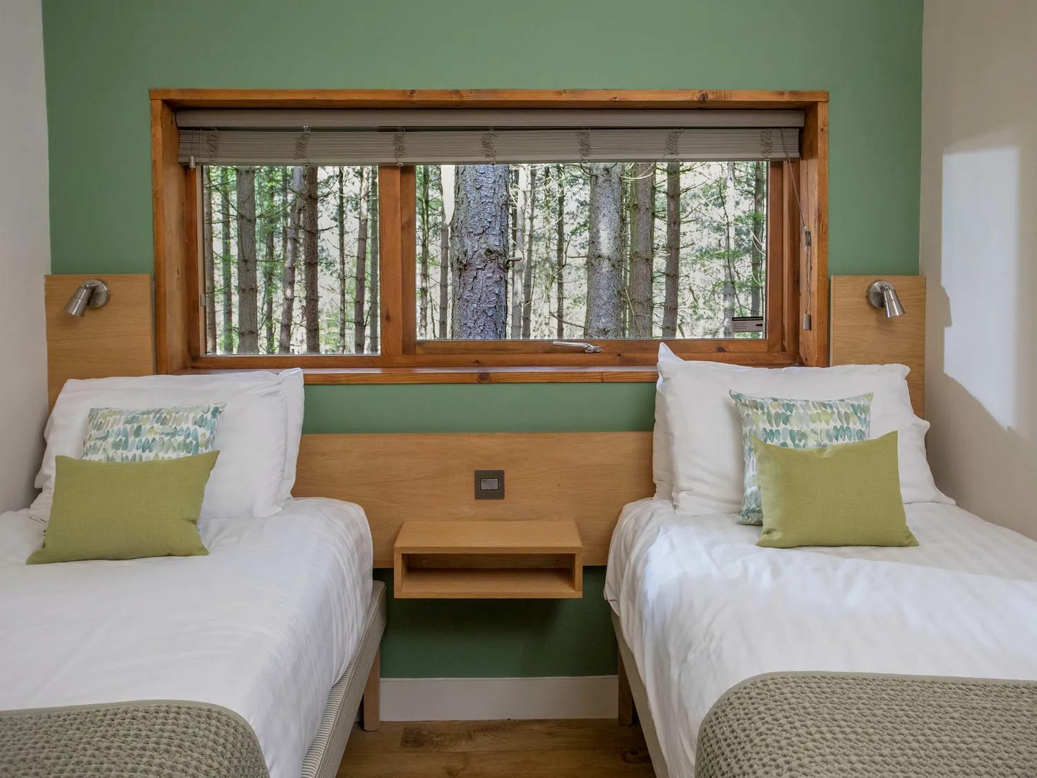 Popham Blackwood Forest Cabins - Forest Holidays מראה חיצוני תמונה