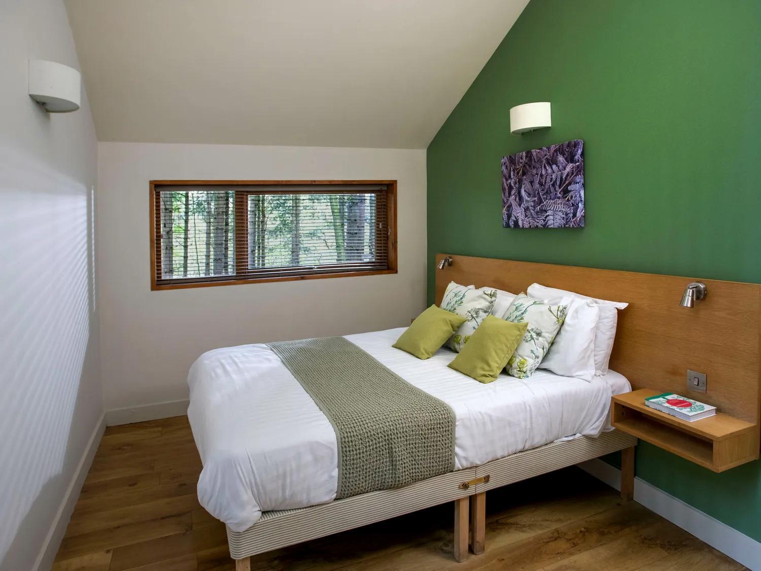 Popham Blackwood Forest Cabins - Forest Holidays מראה חיצוני תמונה