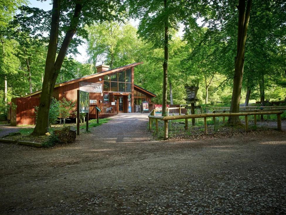 Popham Blackwood Forest Cabins - Forest Holidays מראה חיצוני תמונה