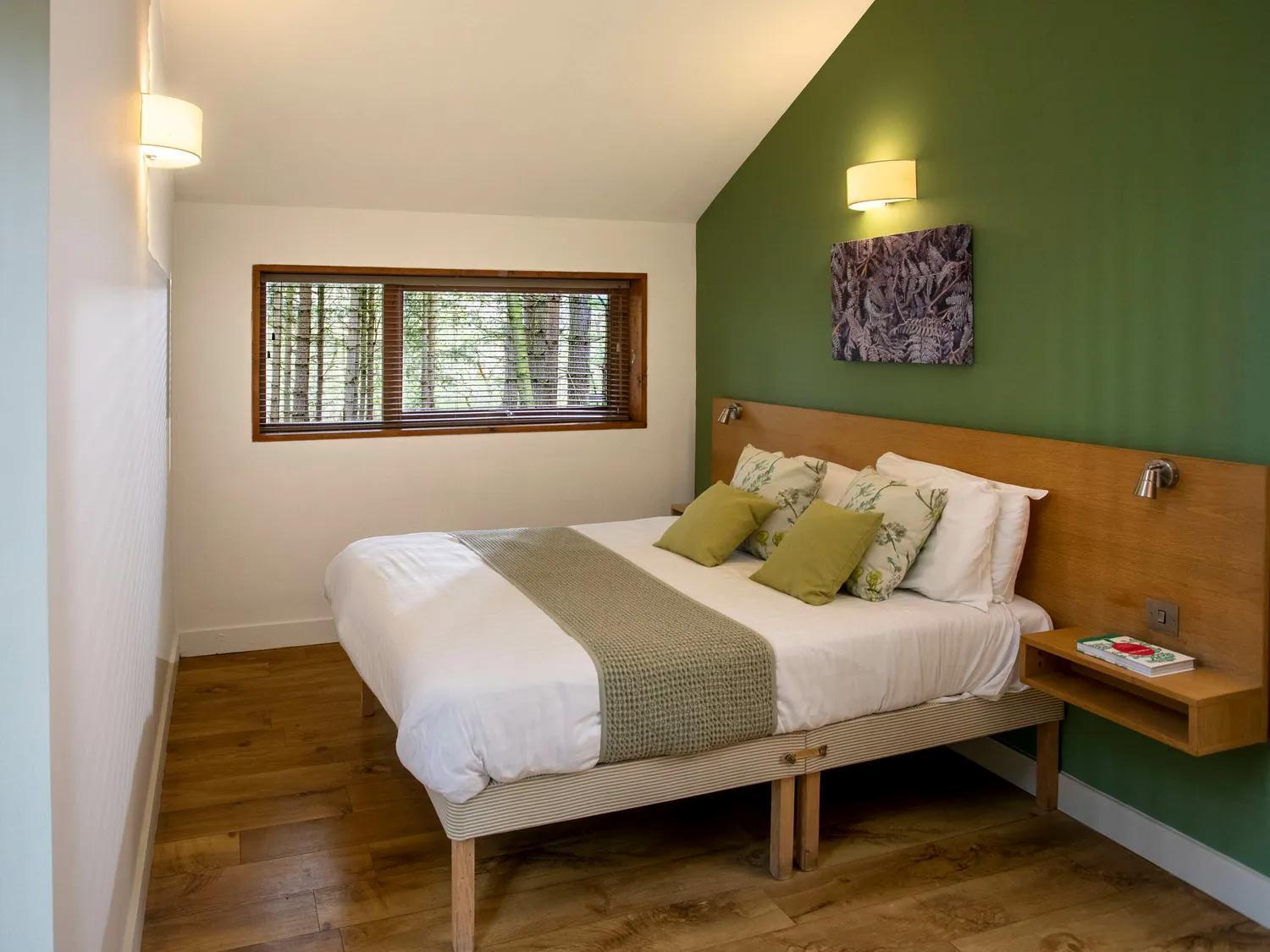 Popham Blackwood Forest Cabins - Forest Holidays מראה חיצוני תמונה