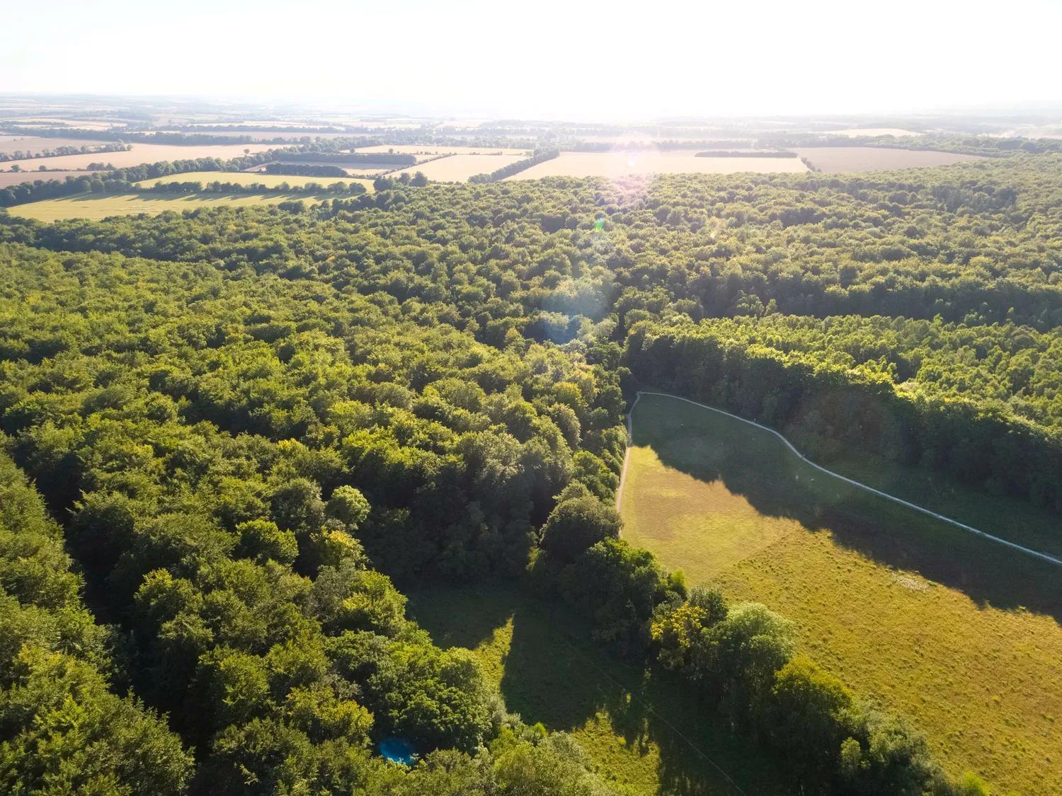Popham Blackwood Forest Cabins - Forest Holidays מראה חיצוני תמונה