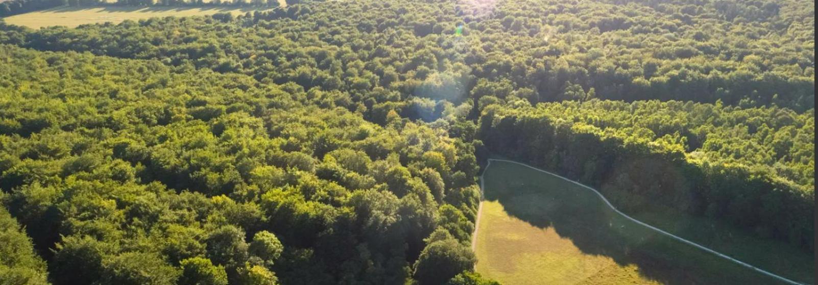 Popham Blackwood Forest Cabins - Forest Holidays מראה חיצוני תמונה