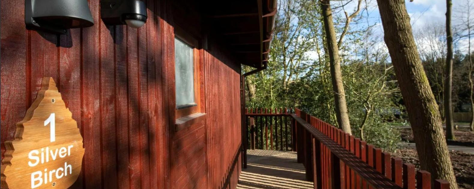Popham Blackwood Forest Cabins - Forest Holidays מראה חיצוני תמונה